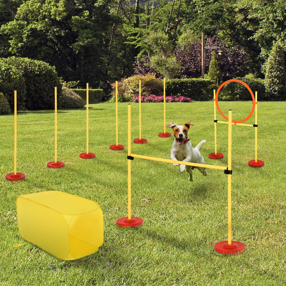 PawHut Outdoor 4 PCs Dog Pet Agility Training Equipment Backyard