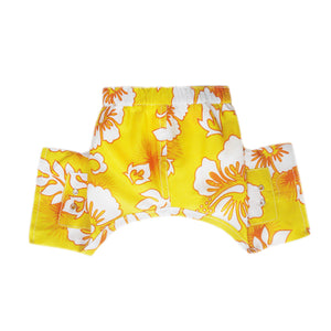 Belize Swim Trunk