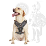 Durable Dog Harness Large Dogs Genuine Leather Harnesses Pet Training