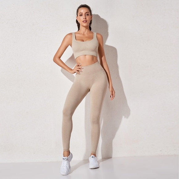 Women's sportswear High Waist Sports Bra+ Legging Gym Clothing