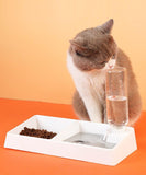 Cat Bowl Dog Water Feeder Bowl Cat Kitten Drinking Fountain Food Dish