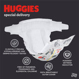 Huggies Special Delivery Hypoallergenic Baby Diapers Size 4;  92 Count