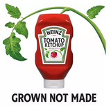 Heinz Original Tomato Ketchup Bottles (44 oz.;  3 pk.)