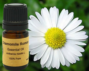 Chamomile Roman Essential Oil 5ml, 10 ml or 15 ml