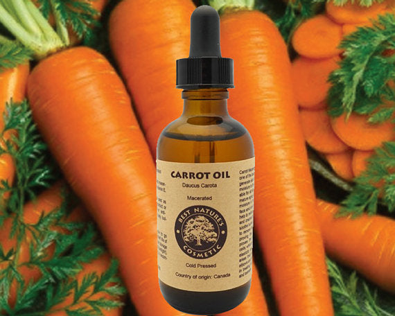 Carrot Oil (Macerated)